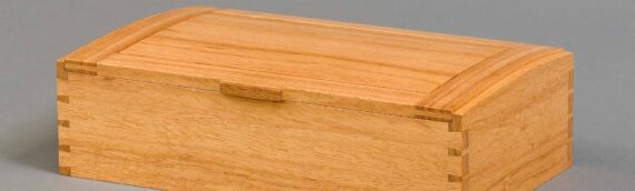 Dovetailed Box