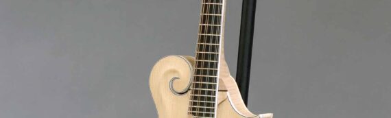 F5 Mandolin