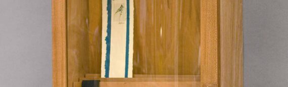 Bookmark Display Case
