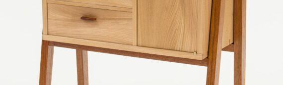 Coyote  –  small cabinet in elm